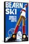 Bearn Ski-null-Framed Stretched Canvas