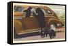 Bears at Car, Great Smoky Mountains-null-Framed Stretched Canvas