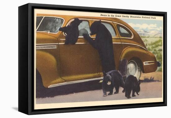 Bears at Car, Great Smoky Mountains-null-Framed Stretched Canvas