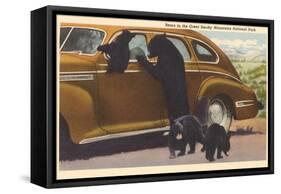 Bears at Car, Great Smoky Mountains-null-Framed Stretched Canvas