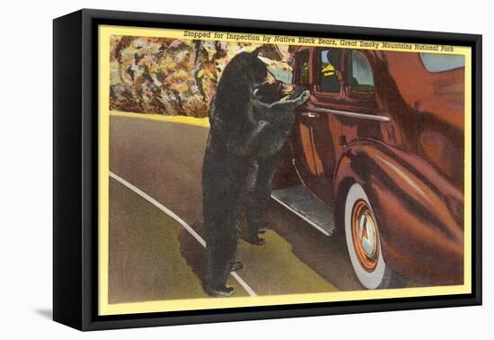 Bears at Car, Smoky Mountains, North Carolina-null-Framed Stretched Canvas