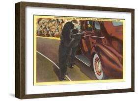 Bears at Car, Smoky Mountains, North Carolina-null-Framed Art Print