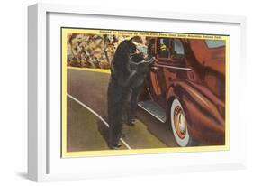 Bears at Car, Smoky Mountains, North Carolina-null-Framed Art Print