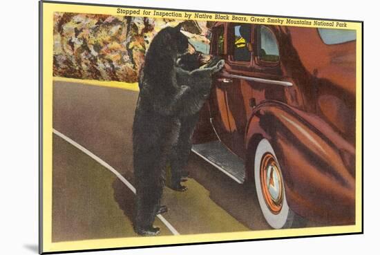 Bears at Car, Smoky Mountains, North Carolina-null-Mounted Art Print