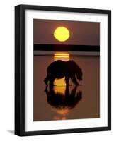 Bears at Play I-PHBurchett-Framed Art Print