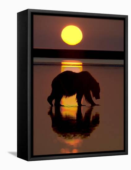 Bears at Play I-PHBurchett-Framed Stretched Canvas