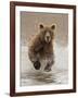 Bears at Play II-PHBurchett-Framed Art Print