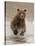 Bears at Play II-PHBurchett-Stretched Canvas