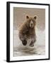 Bears at Play II-PHBurchett-Framed Art Print