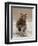 Bears at Play II-PHBurchett-Framed Art Print