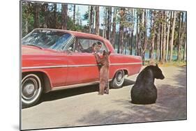 Bears Begging at Car-null-Mounted Art Print