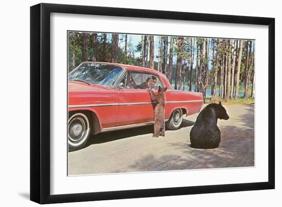 Bears Begging at Car-null-Framed Art Print