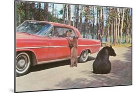Bears Begging at Car-null-Mounted Art Print