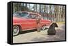 Bears Begging at Car-null-Framed Stretched Canvas