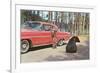 Bears Begging at Car-null-Framed Premium Giclee Print