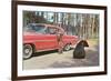 Bears Begging at Car-null-Framed Premium Giclee Print