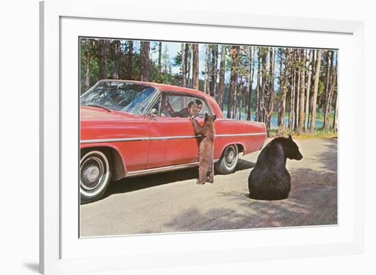 Bears Begging at Car-null-Framed Art Print