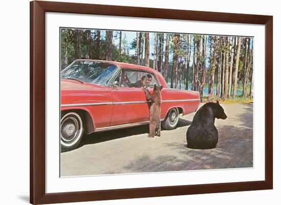 Bears Begging at Car-null-Framed Art Print