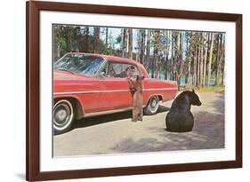 Bears Begging at Car-null-Framed Art Print