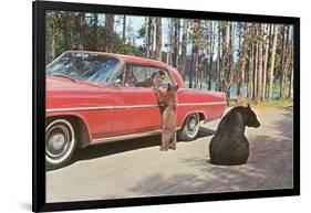 Bears Begging at Car-null-Framed Art Print