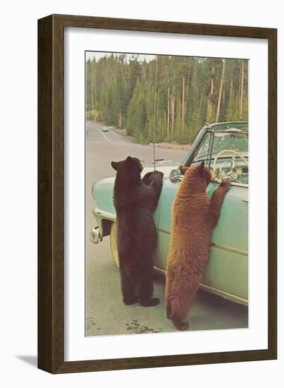 Bears Begging at Side of Car-null-Framed Art Print