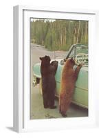 Bears Begging at Side of Car-null-Framed Art Print