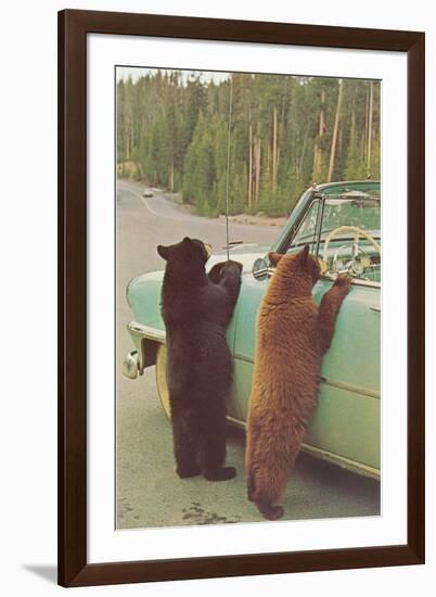 Bears Begging at Side of Car-null-Framed Art Print