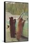 Bears Begging at Side of Car-null-Framed Stretched Canvas