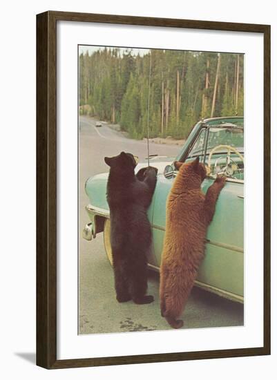 Bears Begging at Side of Car-null-Framed Art Print