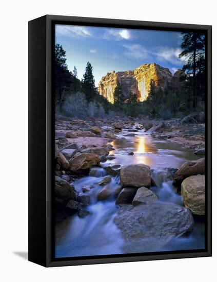 Bears Ears National Monument, Utah. USA. Creek in Arch Canyon. Manti-La Sal NF. Colorado Plateau.-Scott Smith-Framed Stretched Canvas