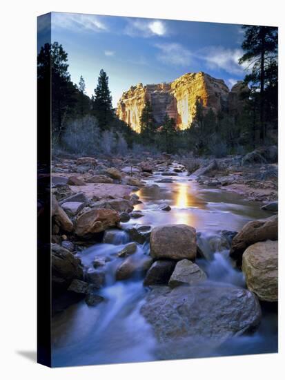 Bears Ears National Monument, Utah. USA. Creek in Arch Canyon. Manti-La Sal NF. Colorado Plateau.-Scott Smith-Stretched Canvas