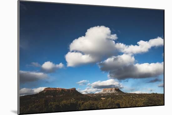 Bears Ears National Monument, Utah-Lindsay Daniels-Mounted Photographic Print