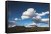 Bears Ears National Monument, Utah-Lindsay Daniels-Framed Stretched Canvas