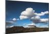 Bears Ears National Monument, Utah-Lindsay Daniels-Mounted Photographic Print