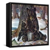 "Bears Eating Maple Syrup," March 28, 1942-Paul Bransom-Framed Stretched Canvas