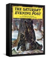 "Bears Eating Maple Syrup," Saturday Evening Post Cover, March 28, 1942-Paul Bransom-Framed Stretched Canvas