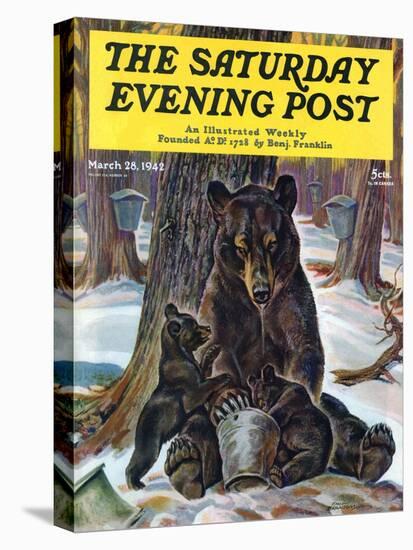 "Bears Eating Maple Syrup," Saturday Evening Post Cover, March 28, 1942-Paul Bransom-Stretched Canvas