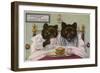 Bears Enjoy Breakfast in Bed-null-Framed Art Print