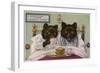 Bears Enjoy Breakfast in Bed-null-Framed Art Print