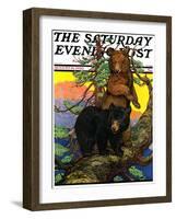 "Bears in Tree," Saturday Evening Post Cover, August 16, 1930-Charles Bull-Framed Giclee Print