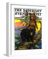 "Bears in Tree," Saturday Evening Post Cover, August 16, 1930-Charles Bull-Framed Giclee Print