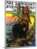 "Bears in Tree," Saturday Evening Post Cover, August 16, 1930-Charles Bull-Mounted Giclee Print