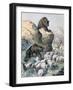 Bears of the Cagyre, 1891-F Meaulle-Framed Giclee Print