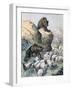 Bears of the Cagyre, 1891-F Meaulle-Framed Giclee Print