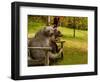 Bears Sitting on a Bench-null-Framed Photographic Print