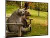 Bears Sitting on a Bench-null-Mounted Photographic Print