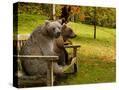 Stretched Canvas