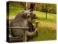 Stretched Canvas