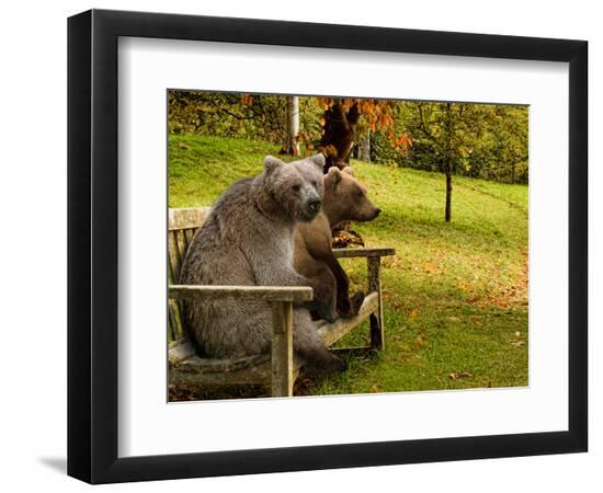 Premium Photographic Print, , large