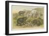 Bears-null-Framed Giclee Print